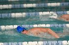 Swimming vs Babson  Wheaton College Swimming vs Babson College. - Photo By: KEITH NORDSTROM : Wheaton, Swimming, Babson